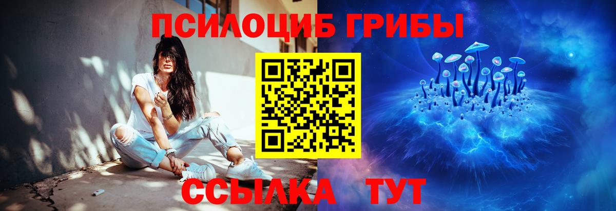 Псилоцибиновые грибы Psilocybe Павловский Посад